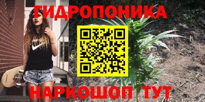 spice Бугуруслан