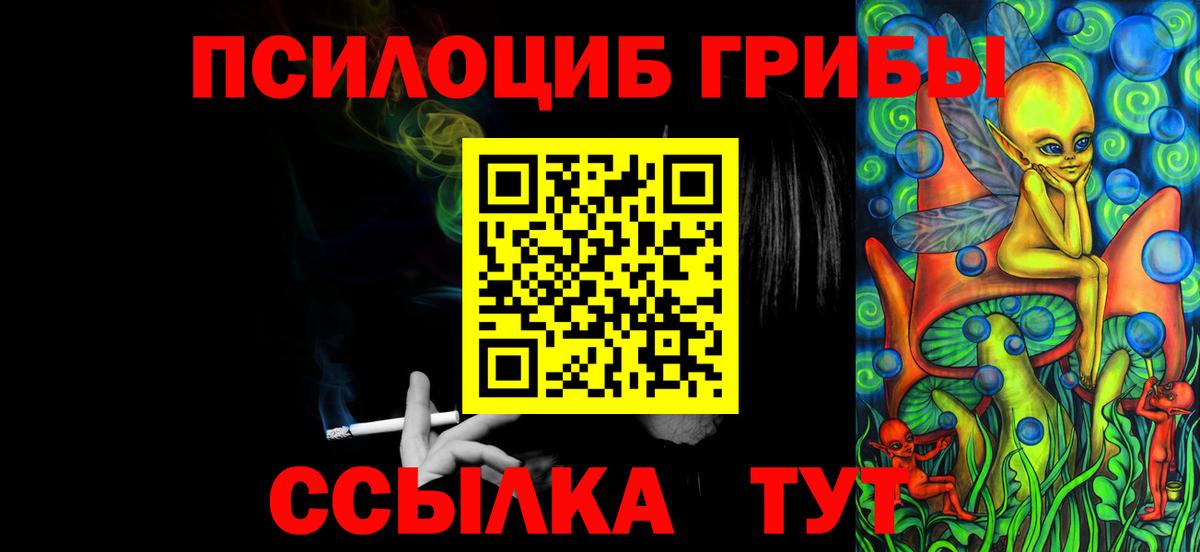 Псилоцибиновые грибы Psilocybine cubensis Пенза